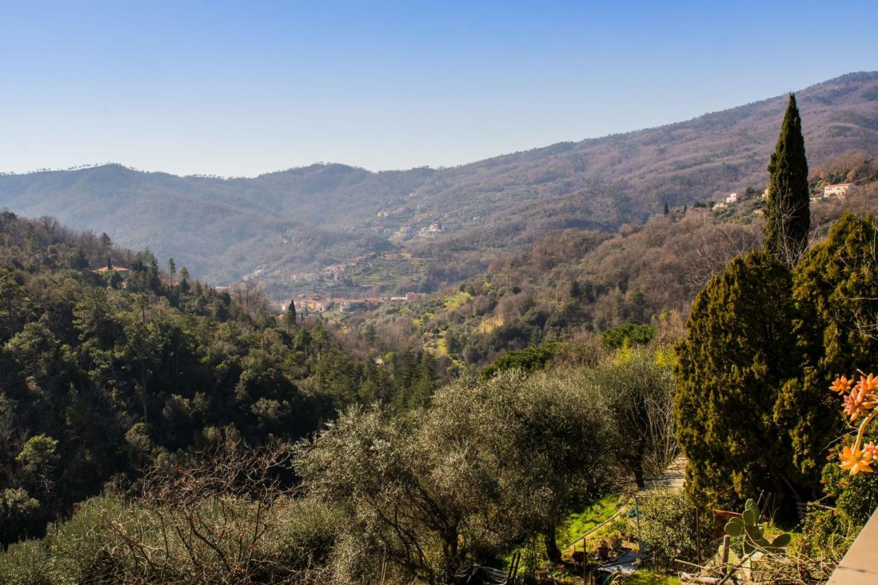 Agriturismo A Ca Vegia Calice Ligure Exterior photo